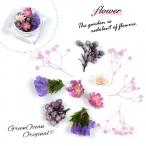 Yahoo! Yahoo!ショッピング(ヤフー ショッピング)ドライフラワー 4種のドライフラワーミックス 貴婦人 ハーバリューム プリザーブドフラワー ドライフラワー