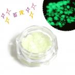 Yahoo! Yahoo!ショッピング(ヤフー ショッピング)蓄光シート ヘキサゴンサイズMIX トッピング 暗闇 封入 ラメ ネイル キラキラ