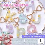 ★シリコン型・モールド アルファベットと数字 シリコンモールド ゴシック Lサイズ レジン型 セット 反転 正文字 正面 大きめ 大文字 英語 推し活 選べる2種