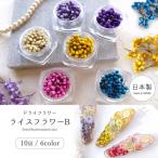 ドライフラワー ライスフラワーB 日本製 ハーバリウム ハーバリューム プリザーブドフラワー 花材 レジン ネイル 素材 小花 本物 パーツ 自然 選べる6色