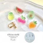 Yahoo! Yahoo!ショッピング(ヤフー ショッピング)シリコン型・モールド 5種のフルーツグミ&野菜グミが作れちゃう 果物 パイナップル パイン アボカド にんじん チェリー さくらんぼ スイカ お菓子 UVレジン