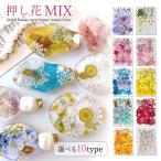 ショッピングレジン 押し花 押し花MIX 約33枚 アソートセット ドライフラワー レジン封入 ネイルパーツ ネイルアート 花材 flower プリザーブドフラワー 本物 植物 選べる9種