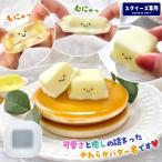 スクイーズ専用モールド やわらかバター君 シリコンモールド シリコン型 レジン型 かわいい 癒し 可愛い 柔らかい 大きい 立体 3d スクイーズ用 レジン クラフト