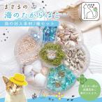 まさるの海のたからばこ 封入7種セット