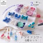 ドライフラワー ドライフラワーMIX クリアケース入り レジン封入 レジン用花材 小さい ミックス 本物 アクセサリー GreenOceanオリジナルブレンド♪ 選べる2色