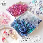 プリザーブドフラワー 枝付きカスミソウ リーフ付き ドライフラワー レジン封入 レジン用花材 ミックス 本物 小分け GreenOceanオリジナルブレンド♪ 選べる2色