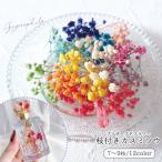 ドライフラワー 枝付きかすみ草 かすみそう カスミソウ 押し花 プリザーブドフラワー 封入素材 花材 本物 レジン封入 自然素材 ケース入り 少量 選べる12色
