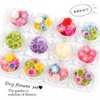 ■ドライフラワー スタッフおまかせ♪ スターフラワー12ケース 小花 プリザーブドフラワー 花材 flower 福袋 春 クリスマスプレゼント
