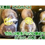 ショッピングお取り寄せグルメ 八色天恵こ「やいろてんけいこ」（３パック（計６枚）／箱）お取り寄せグルメに最適！