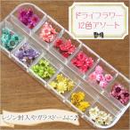 ドライフラワーの12色アソート 花 レジンクラフト 1804 assort05