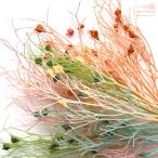 ドライフラワー 植物 実 ハーバリウム ブーケ スワッグ 花束 ディスプレイ 装飾 飾り アクセサリーパーツ 花材 2303 10g 【f61】 GreenRoseYumi