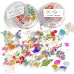  dry flower pressed flower petal various Mix resin nails . go in material for flower arrangement material resin accessory accessory parts in the case 1 piece 2303[f64]