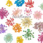 押し花 ドライフラワー レースフラワー ジェルネイル ネイルアート レジン 封入 キャンドル 小花 カラー ミックス 12輪 f86 2507