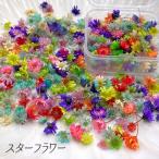  Star цветок сухой цветок resin . входить материалы материал материалы для цветочной композиции немного есть перевод в кейсе примерно 1g f87 этот день отправка 2510 2511