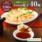 野菜餃子 Green 餃子 ヘルシー 菜食 国産野菜 業務用　40個　プラントベース 大豆ミート 植物肉 ヴィーガン ベジタリアン ぎょうざ クール便送料別途