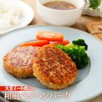 【クール便送料別途】大豆ミートの和風ベジハンバーグ　（80g×10個入り） rt