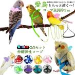 [. покупка ] птица для Harness 2 позиций комплект птица для Harness + Lead попугай Harness bird Lead маленькая птица для Lead Harness тренировка трос птица для эластичный .. гибкость "дышит" .