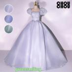 ショッピングコンクール カラードレス グレー ブルー グリーン ロングドレス 演奏ウエディングドレス プリンセスライン ステージ 舞台衣装 発表コンサート コンクール 大人 姫系