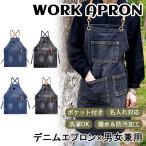 �y2WAY�x���g�z�f�j���G�v���� �x���g�I���\ �{�f�j��/PU�v �����h��