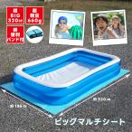プールマット プール用マット 大型プール ビッグマルチシート 約320×185cm 厚さ4mm 重量660g 300cm対応 SUNDRY