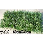  офиопогон японский шар дракон коврик на следующий день отправка возможно садоводство почвопокровные растения подлесок японский стиль 