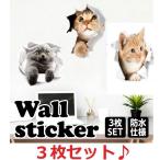 猫 シール ウォールステッカー 黒猫 三毛猫 ネコ 動物 アニマル 壁シール かわいい 3d トリックアート 写真 だまし絵 cat インテリアステッカー