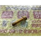 1個　スーパースター　ロデオドライブ　ハザー　ゴールド　ピアスボルト　全ネジ　ゴールド　金　M8　全長：約30ｍｍ