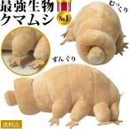 面白雑貨 地上最強生物 GPT クマムシ ぬいぐるみ ベージュ インテリア かわいい ユニーク 生き物 長命虫 動物 アニマル 教材 子供 大人 送料無料(gu1b051)