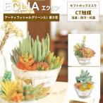  искусственная зелень настольный класть type дезодорация антибактериальный декоративное растение a-tifi автомобиль ru зеленый L размер много мясо подарок подарок kisimaKH-61183 KH-61184 KH-61185(ki3a008)