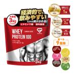 【10％OFFクーポン配布中】グロング ホエイプロテイン100 風味付き 3kg 国内製造 タンパク質含有率75％以上 スタンダード GronG