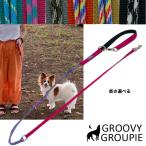 アウトドア用 リード 超小型犬 小型犬【Sサイズ】ネオプレン クッション付きで優しい PPテープ ＆パラコートリード 雨 雪 アウトドア に