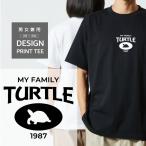 Tシャツ 半袖 ホシガメ リクガメ 亀 