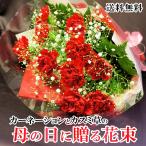 カーネーションとカスミ草の母の日に贈る花束　