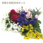 お供え 花 お悔やみ お彼岸 お供え切花20本セット お供え お悔やみ 花 生花 切花 御供 供花 墓花 お墓の花 お墓参り 仏花 仏前 仏壇 仏壇用 スプレー菊 小菊