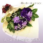 花 誕生日 ギフト プレゼント 青いカーネーション ブーケ ムーンダストの花束 20本入 プレゼント ギフト カーネーション 青 紫 生花 花束 お祝い 開店祝い