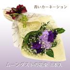 花 誕生日 ギフト プレゼント 青いカーネーション ブーケ ムーンダストの花束 8本入 プレゼント ギフト カーネーション 青 紫 生花 花束 お祝い 開店祝い