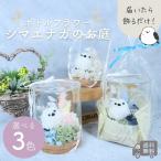  цветок консервированный цветок бутылка цветок simaenaga. двор день рождения подарок праздник память день входить . входить .... индустрия брак память день брак праздник . празднование рождения День почитания пожилых людей 