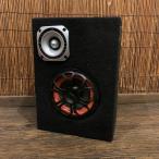  настоящее время ..NWD-5 Bass Power Amp динамик -s099