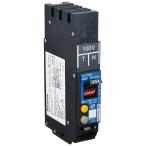  Panasonic (Panasonic) утечка электро- защита 2P1E20A30mA TN BKFE22031TNK