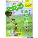  Kyushu ....20/6 месяц номер 