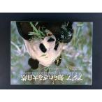  Азия ... корзина большой природа 