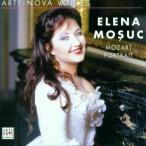 Mozart Portrait