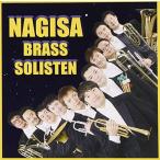 na.. латунь zoli stain 