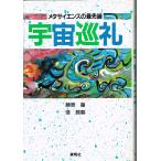  космос пилигрим :meta наука. передний край 