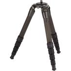 GITZO штатив si стерео matic 4 type карбоновый 5 уровень ножек только тигр bela-GT4552TS