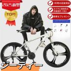 2025新型自転車 バイク マウンテンバイク 太いタイヤ 21 24 27 段変速 24インチ 26インチ スポーツアウトドア メンズ レディース
