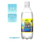 【お得な2箱セット】富士山の強炭酸水 レモン 500ml×48本 国産 強炭酸水 アイリスオーヤマ IRIS OHYAMA
