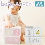  baby as авторучка миля Stone eiji блок BABY ASPEN ( baby душ празднование рождения девочка мужчина . покупка 