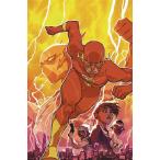 (25% off. специальная цена . ваш заказ )FLASH REBIRTH DLX COLL HC BOOK 01