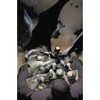 (25% off. специальная цена . ваш заказ )BATMAN BY SNYDER &amp; CAPULLO OMNIBUS HC VOL 01
